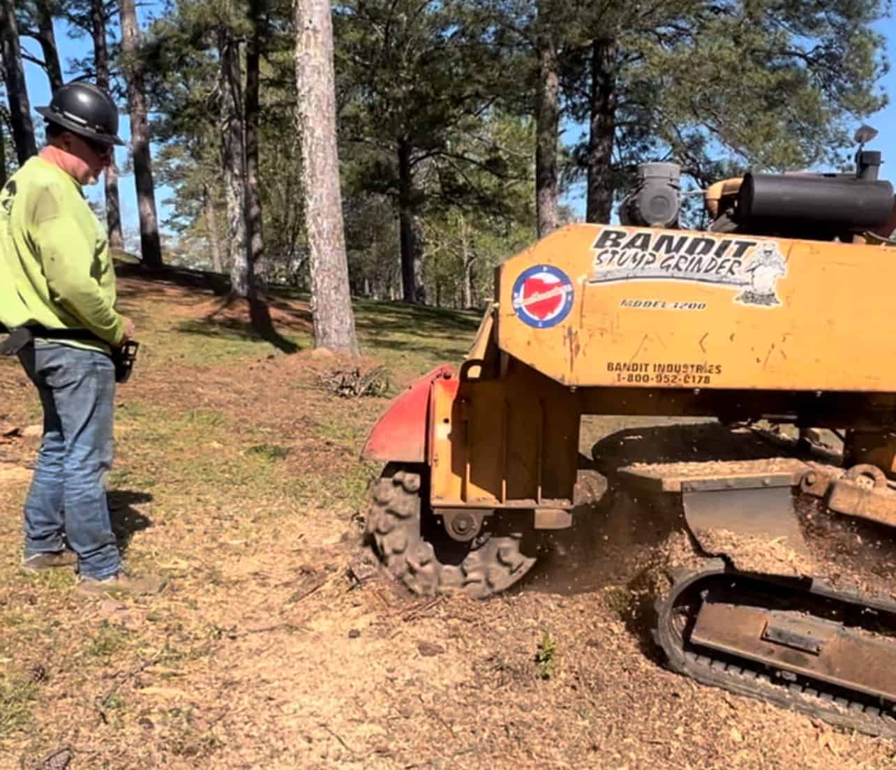stump-grinding-b-and-h-tree-service sewer cleaning service, plumbing services, plumbers in anniston, Residential Plumbing, Commercial Plumbing, sewer jetting service in oxford al,